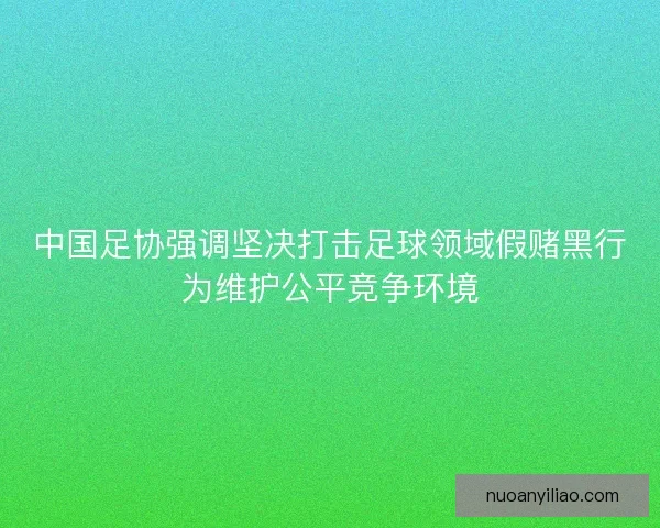 中国足协强调坚决打击足球领域假赌黑行为维护公平竞争环境